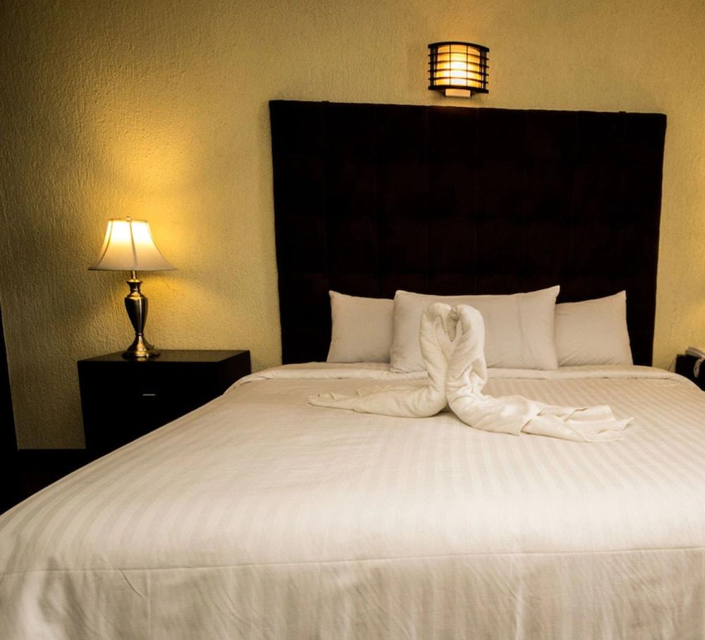 Hotel Gran Plaza & Convention Center Γκουαναχουάτο Εξωτερικό φωτογραφία